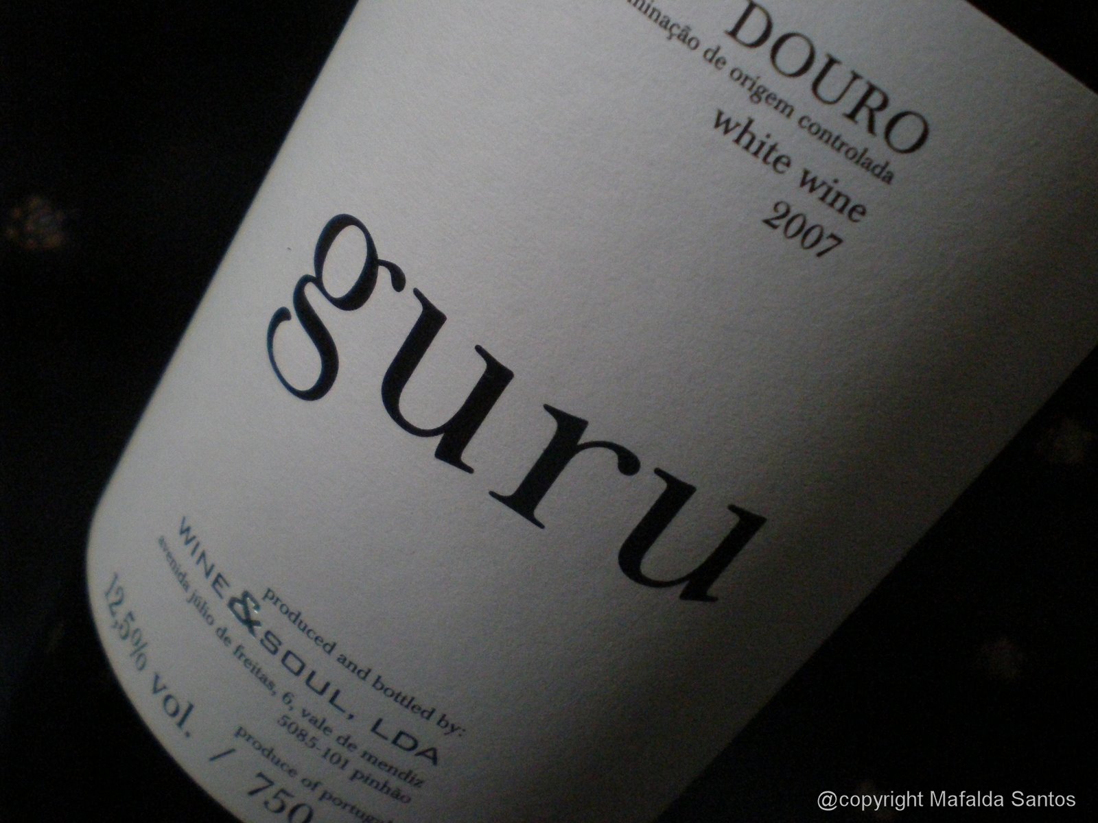 [guru+branco+07+copy.jpg]