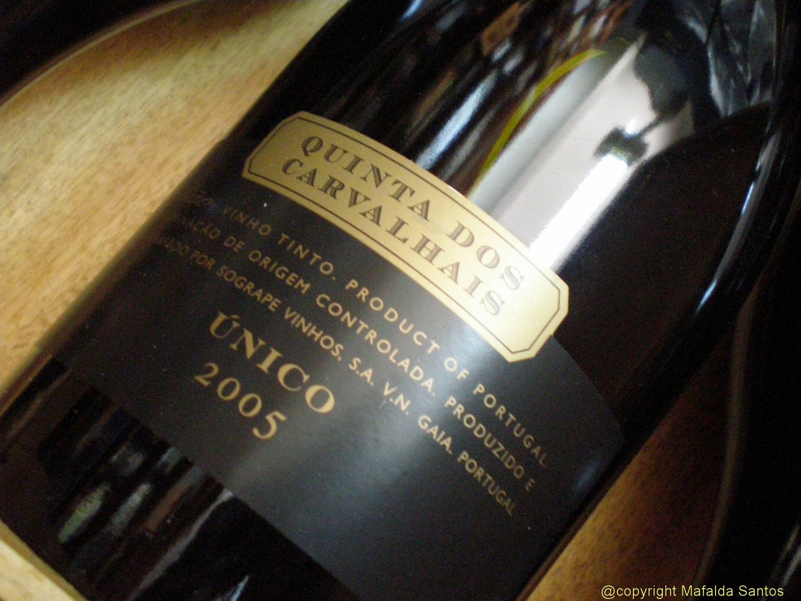 [carvalhais+unico+copy.jpg]