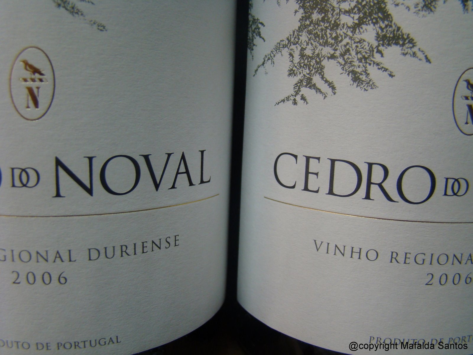 [cedro+noval+06+copy.jpg]