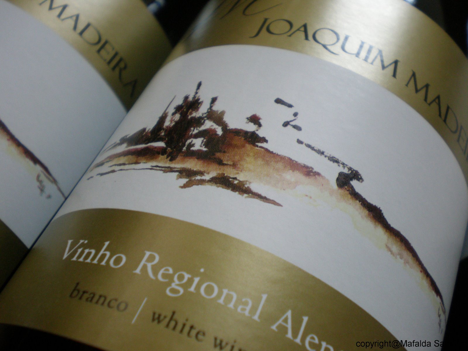 [joaquim+madeira+copy.jpg]