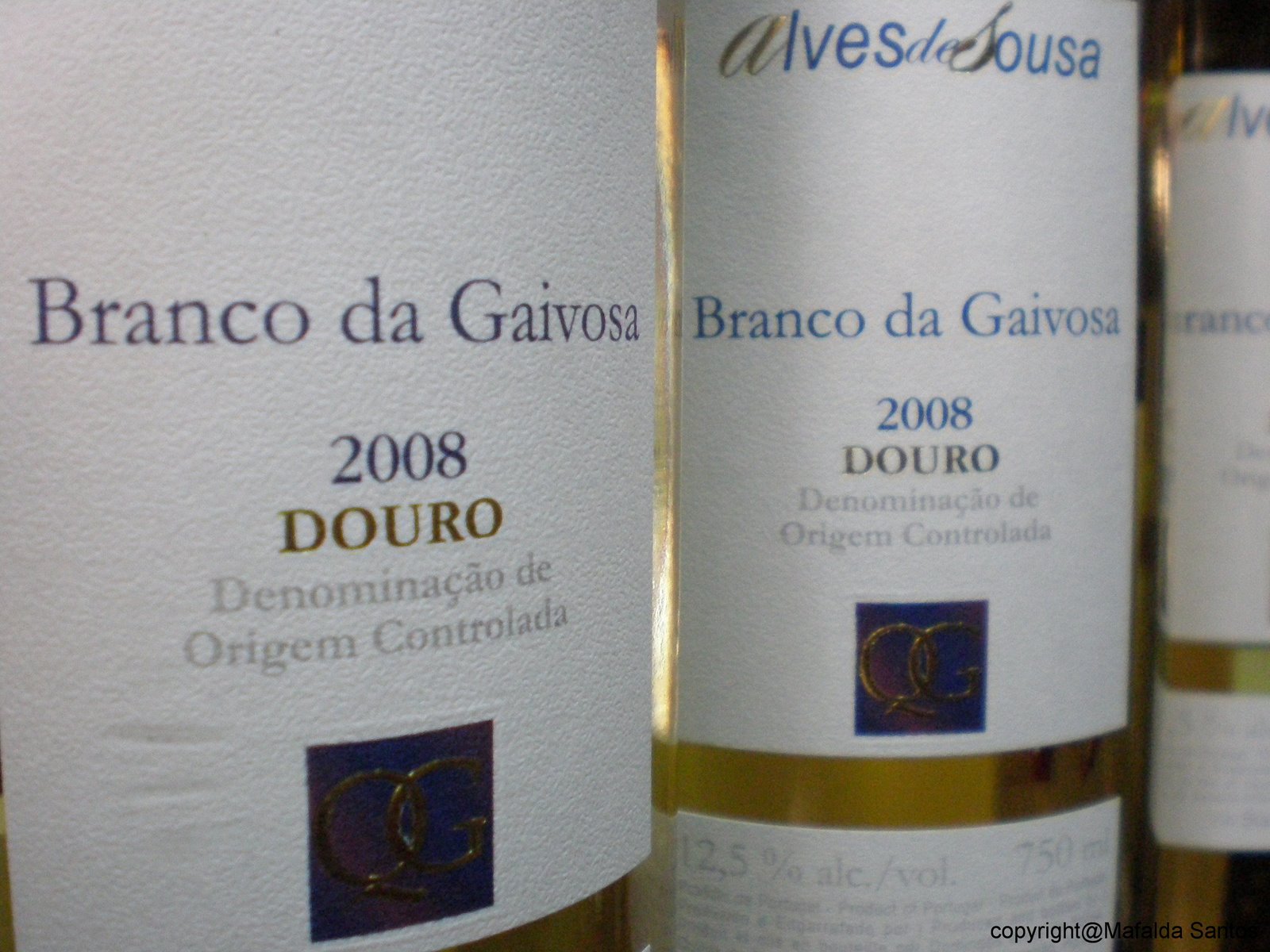 [branco+da+gaivosa+08+copy.jpg]