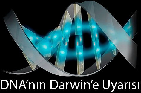 DNA'nın Darwin'e Uyarısı