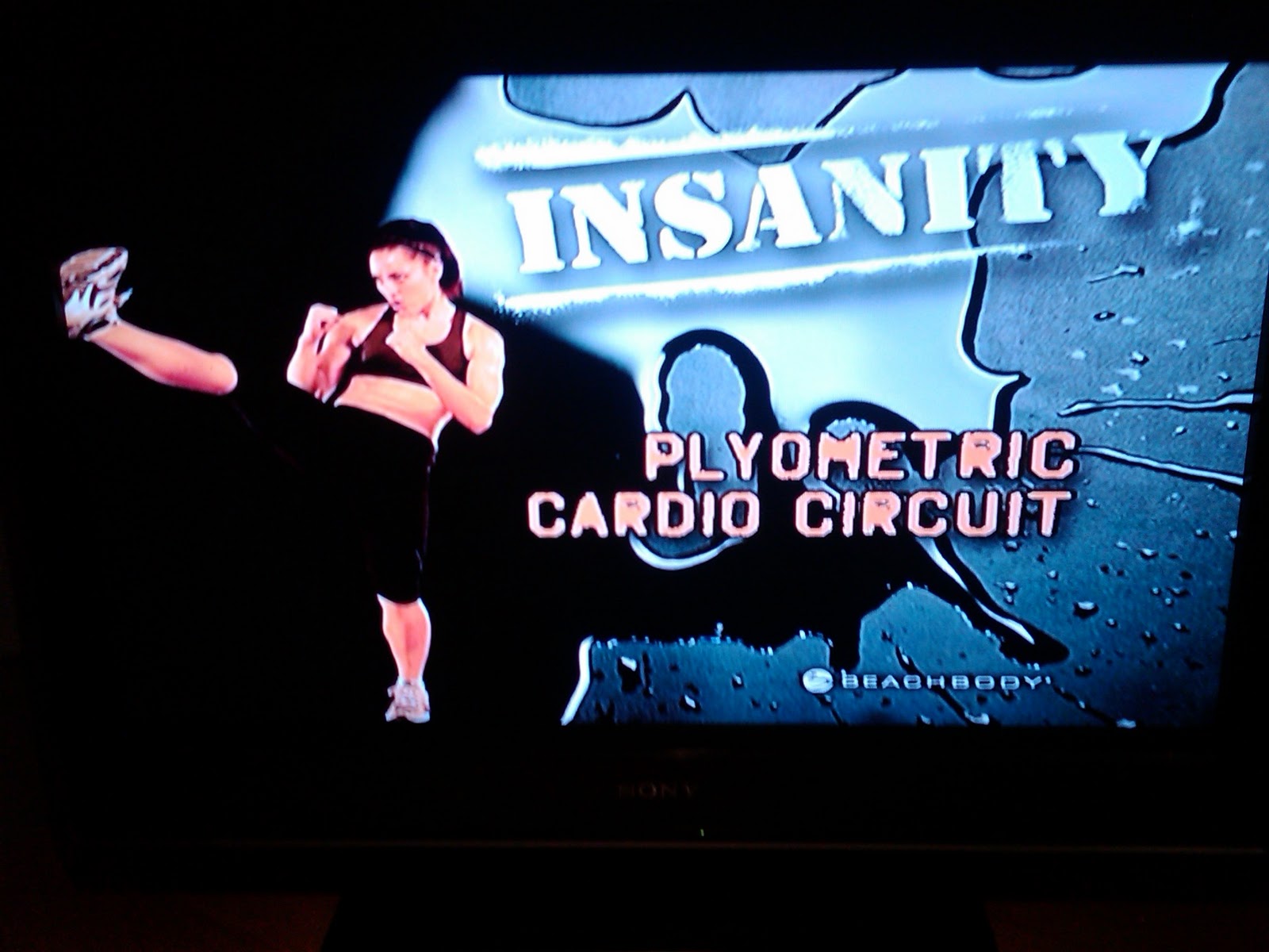 Day 24 Insanity Plyometric Cardio Circuit ~ X MIKE