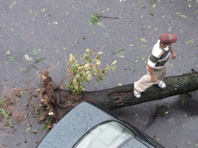 Bushwick, Brooklyn Tornado Damage