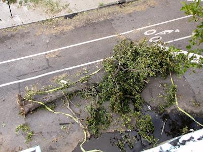 Bushwick, Brooklyn Tornado Damage