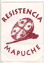 RESISTENCIA MAPUCHE Y LUCHA!!!