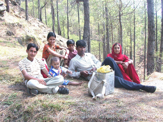 जंगलो का मनमोहक तस्वीर