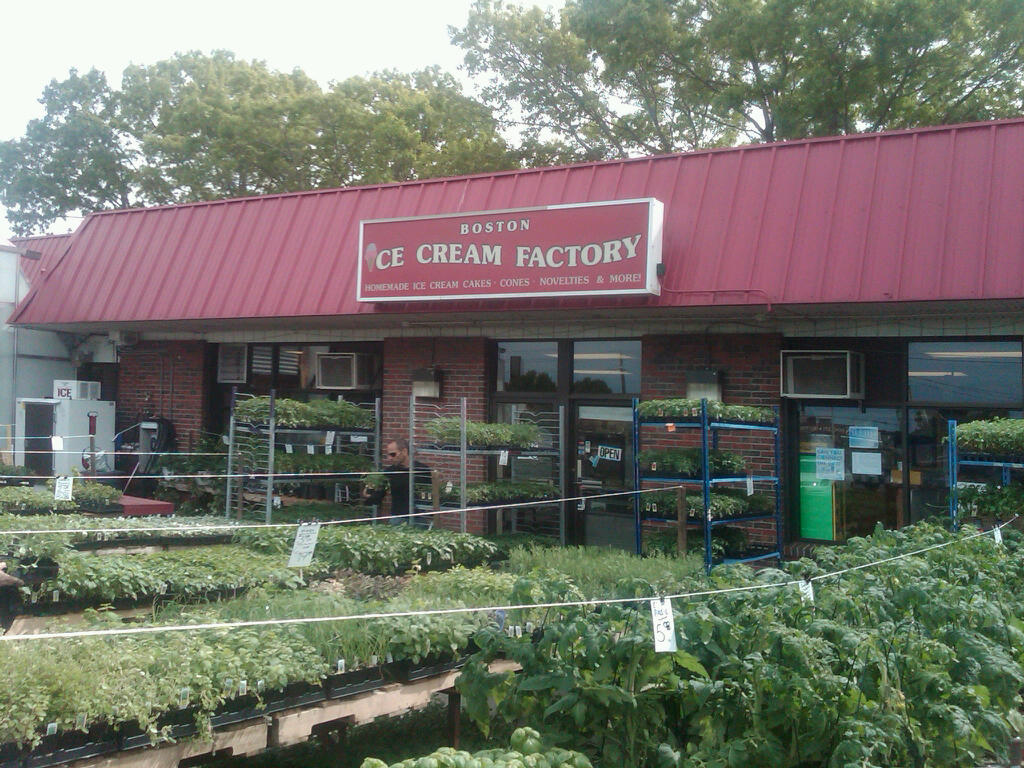 The Whole Scoop Our first visit!