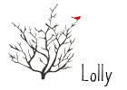 [Lolly.gif]
