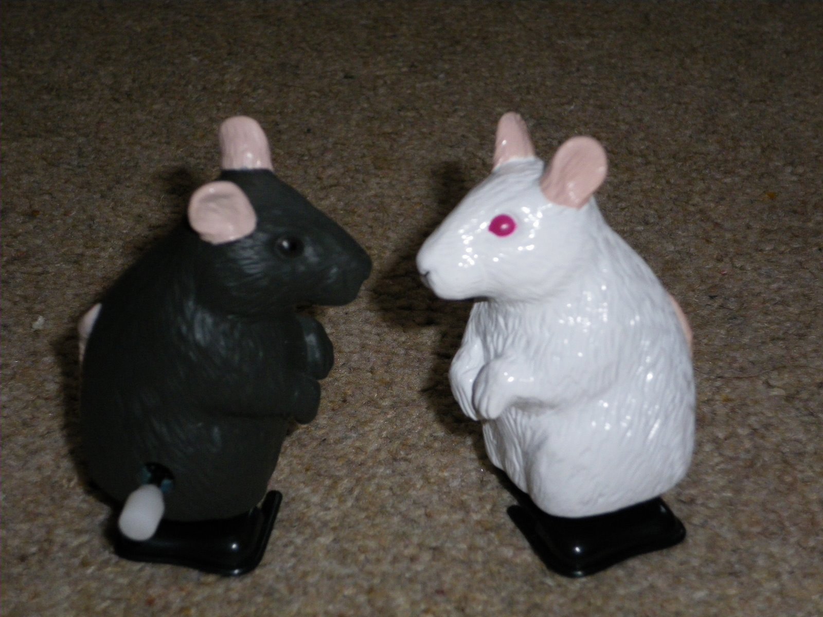 [Rat+toys.JPG]