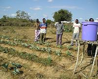 [solar-powered-drip-irrigation-system-bg.jpg]