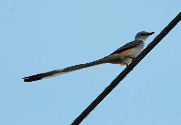 [securedownload+(2).jpg]