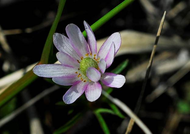 [securedownload.jpg]