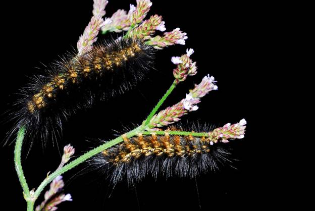 [securedownload.jpg]