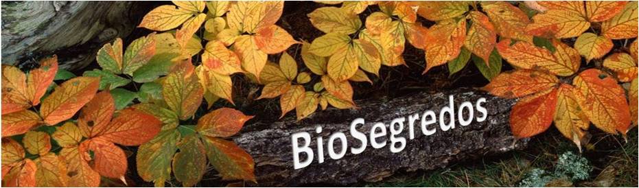 BioSegredos