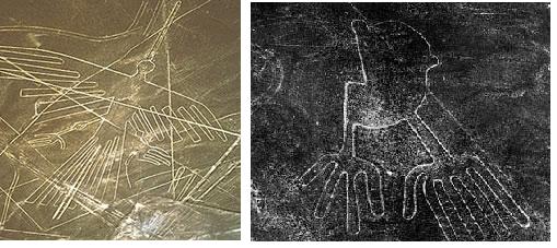 Resultado de imagem para Calendário astronômico e agrÃcola: Segundo o pesquisador Paul Kosok e a pesquisadora Dra. Maria Reiche, que dedicou sua vida inteira na resolução do enigma, concluiu que as figuras geométricas formariam um gigantesco calendário astronômico. As linhas constituem os solstÃcios, as posições e mudanças das estrelas. Sua teoria foi corroborada pelo astrônomo peruano Luis Mazzoti. Ela associou os signos do zodÃaco a doze figuras conforme abaixo: