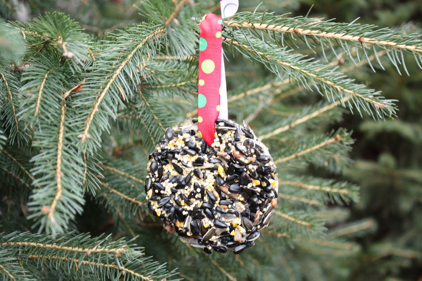 Sweet and Simple Things Homemade Birdseed Ornaments