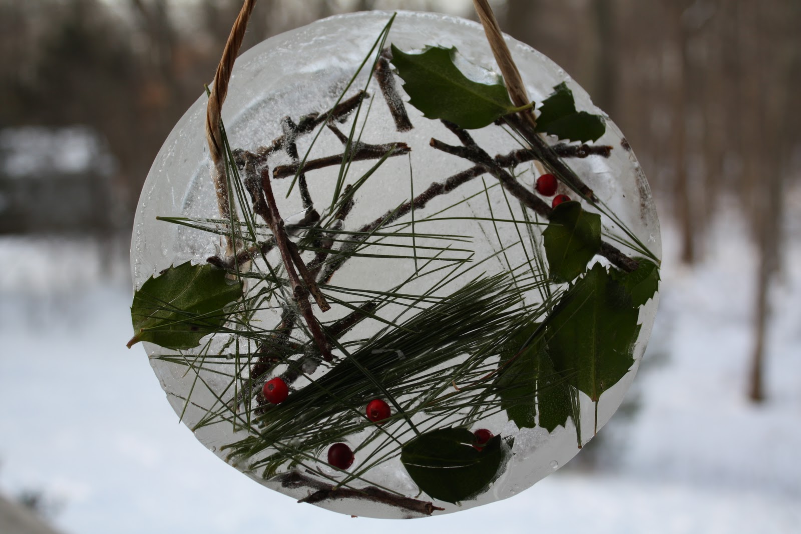 Sweet and Simple Things: Decorating with Ice