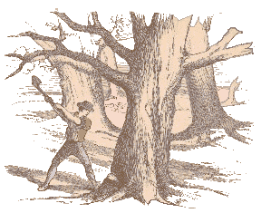 Resultado de imagem para as arvores e o machado