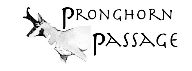 Pronghorn Passage