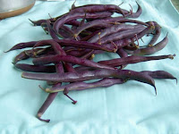 purple string beans