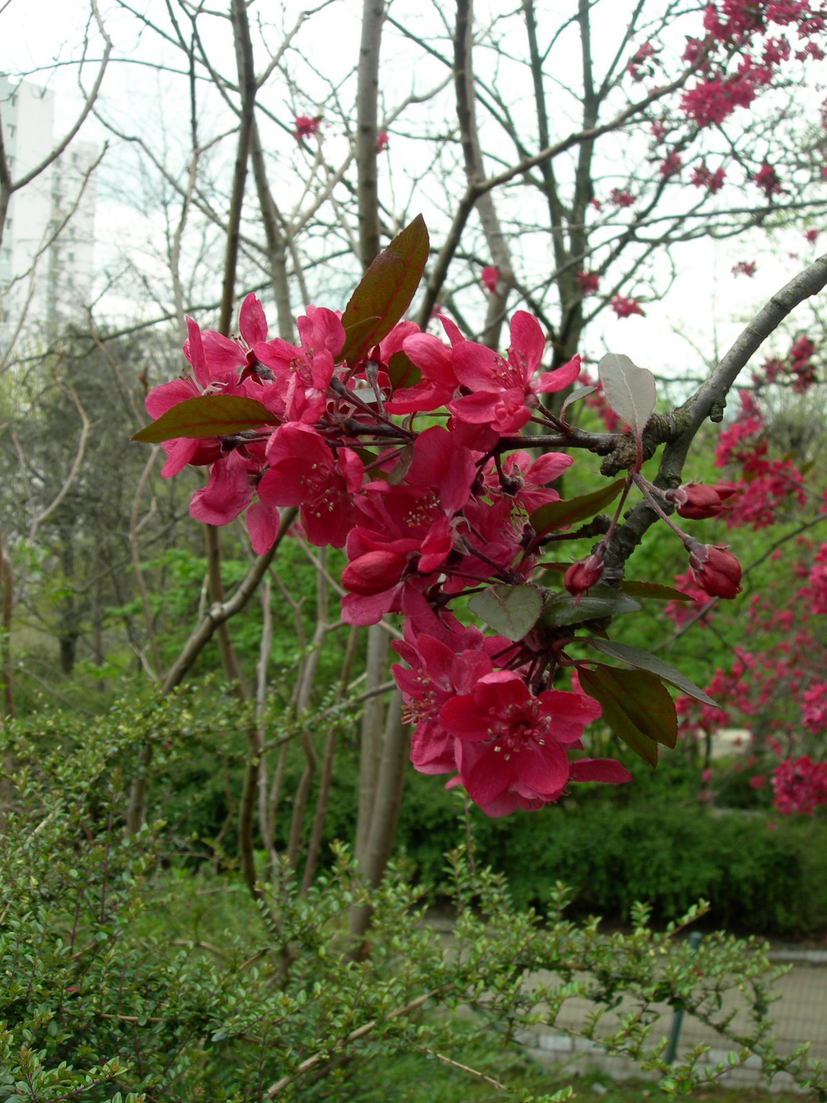 [DSCN4131.JPG]