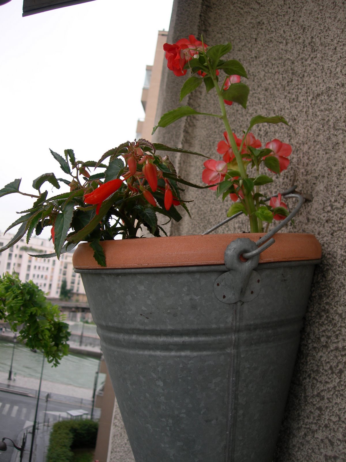 [DSCN5928.JPG]