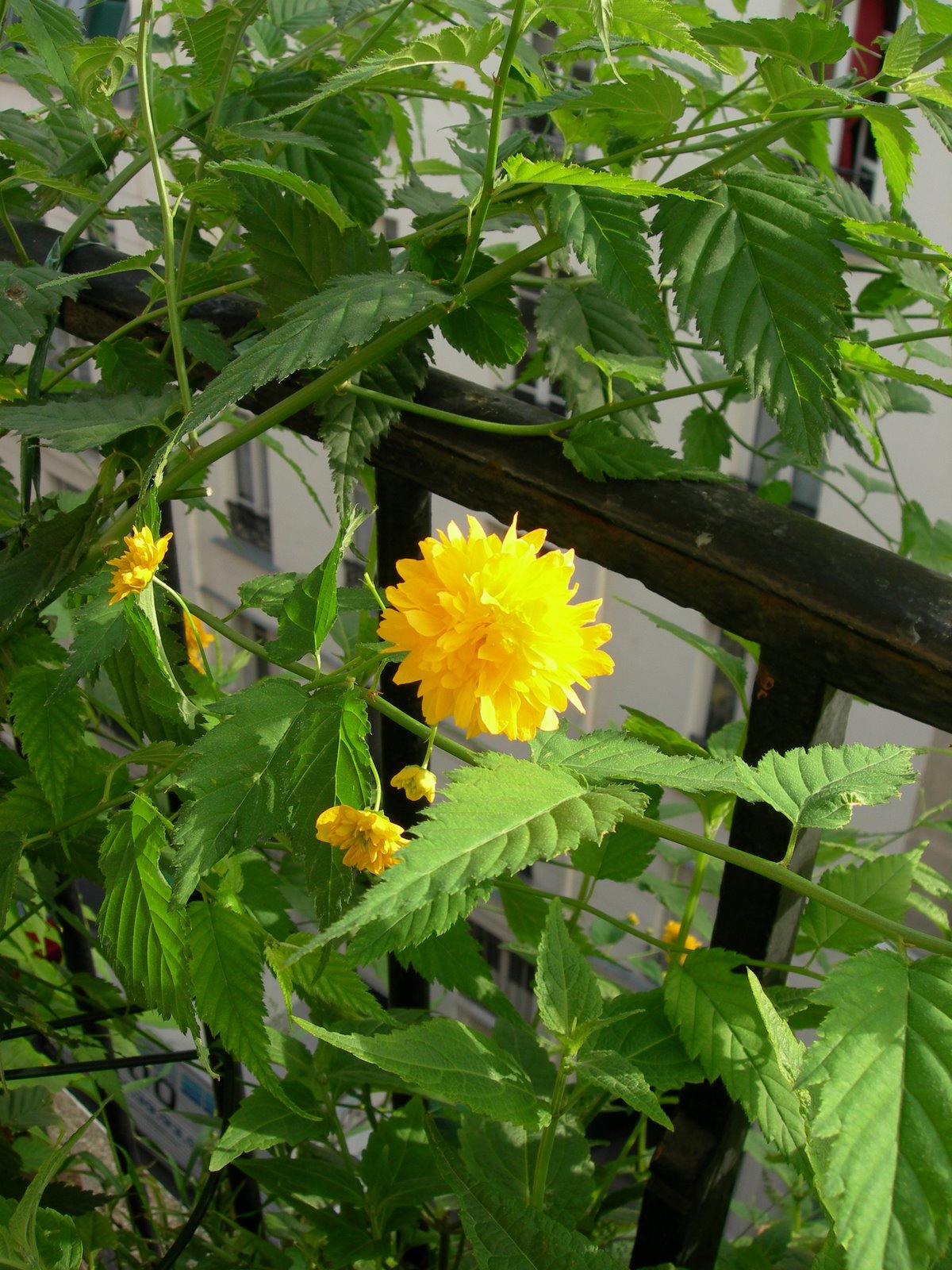[DSCN6535.JPG]