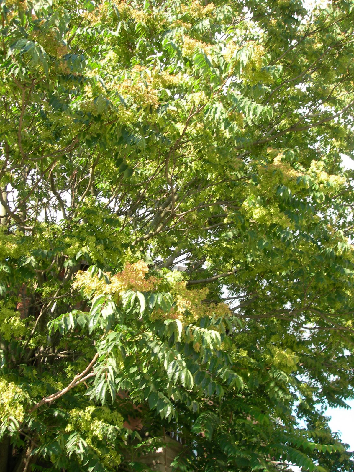 [DSCN6685.JPG]