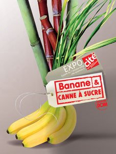 [banane+bd,0.jpg]