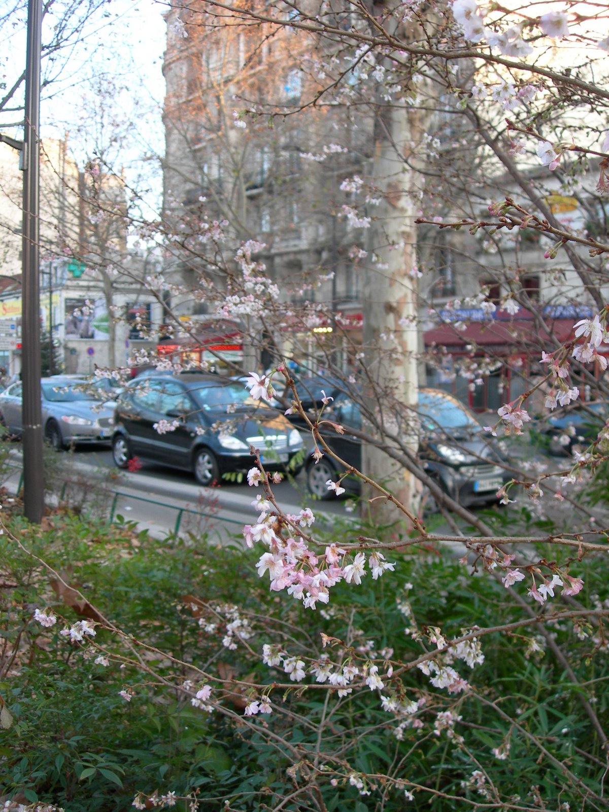 [DSCN0322.JPG]