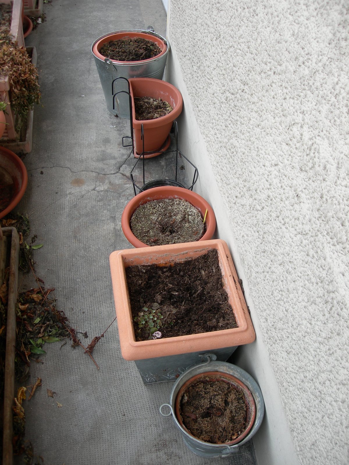 [DSCN0705.JPG]