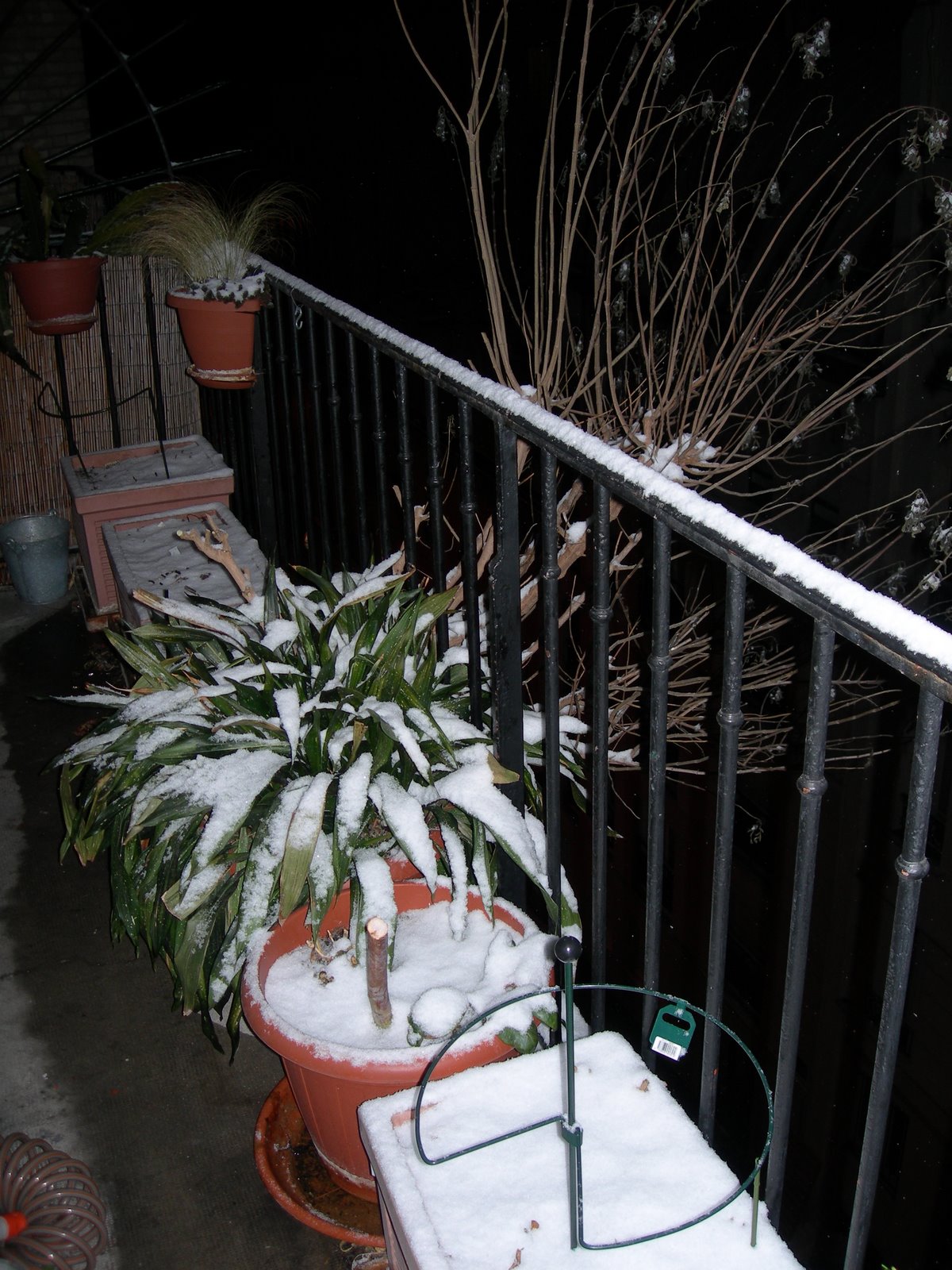[DSCN0796.JPG]