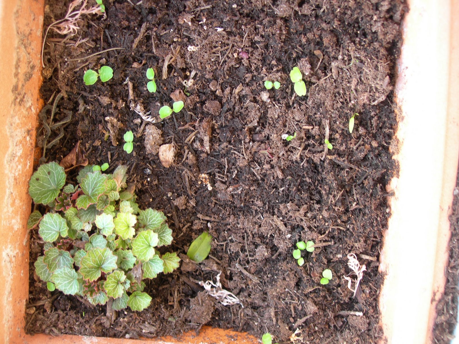 [DSCN1396.JPG]