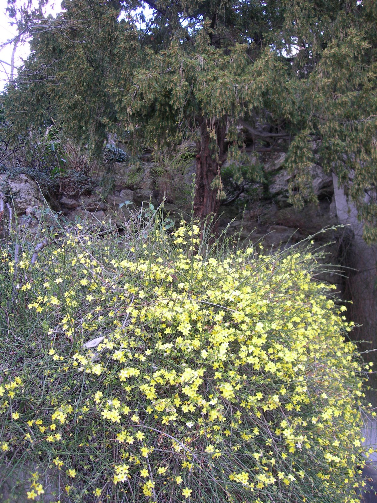 [DSCN1422.JPG]