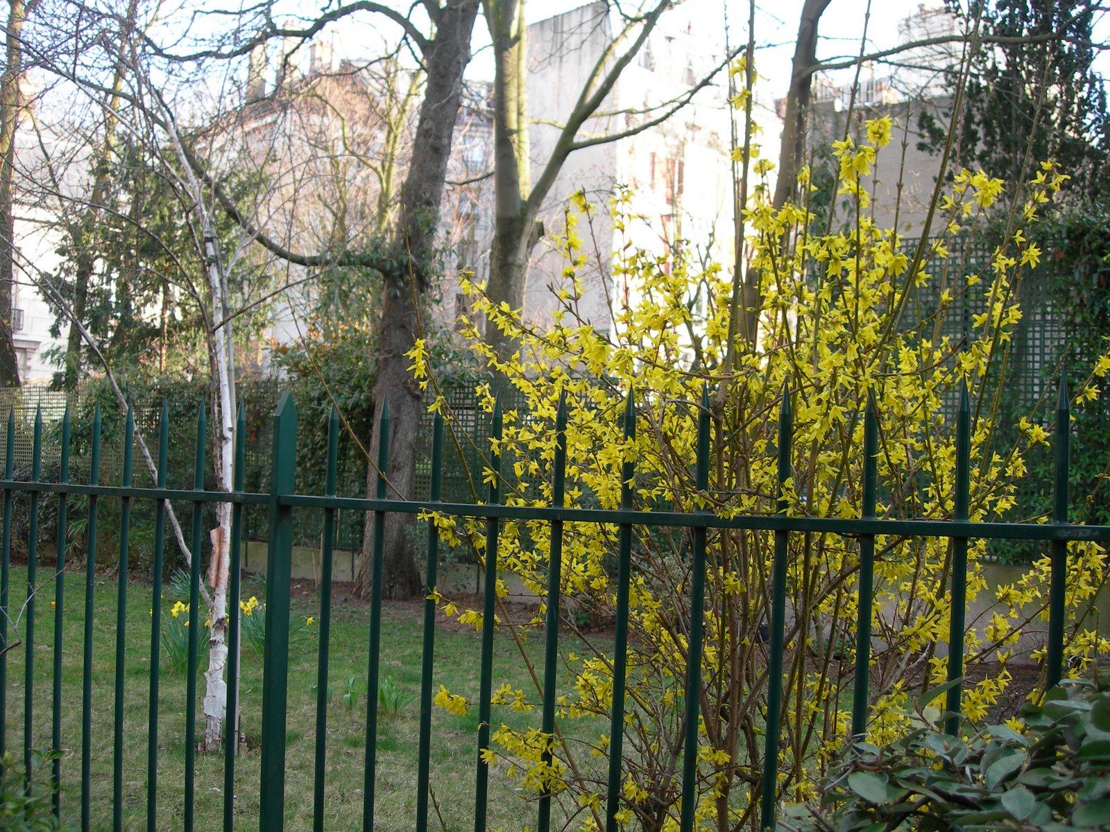 [DSCN1458.JPG]