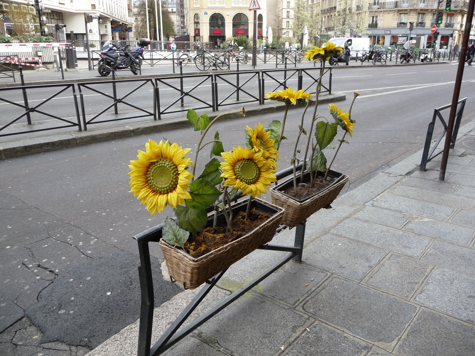 [P1000224.JPG]