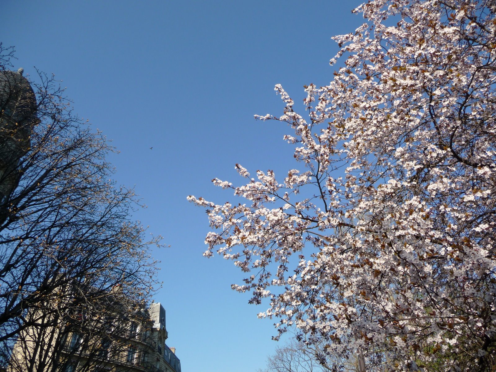 [P1000024.JPG]