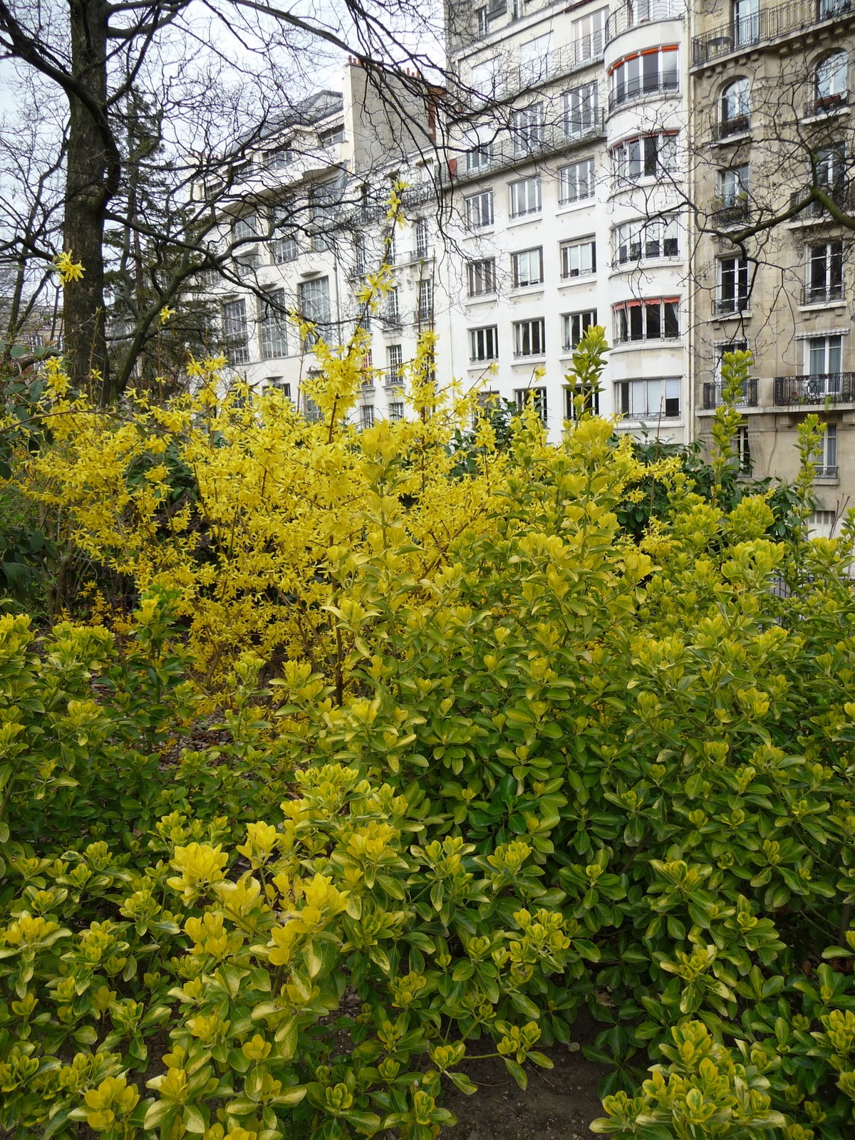 [P1000300.JPG]