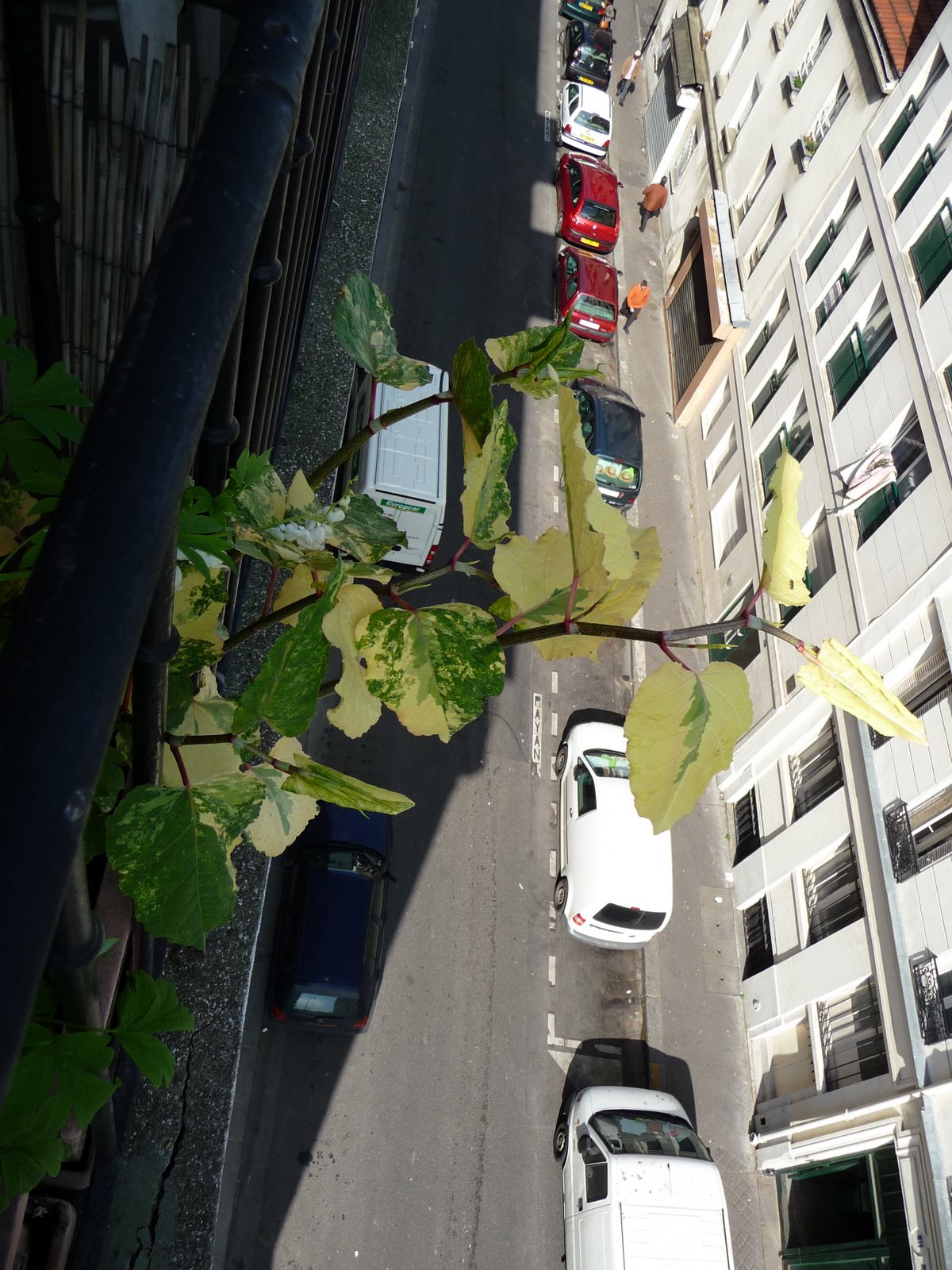 [P1000879.JPG]