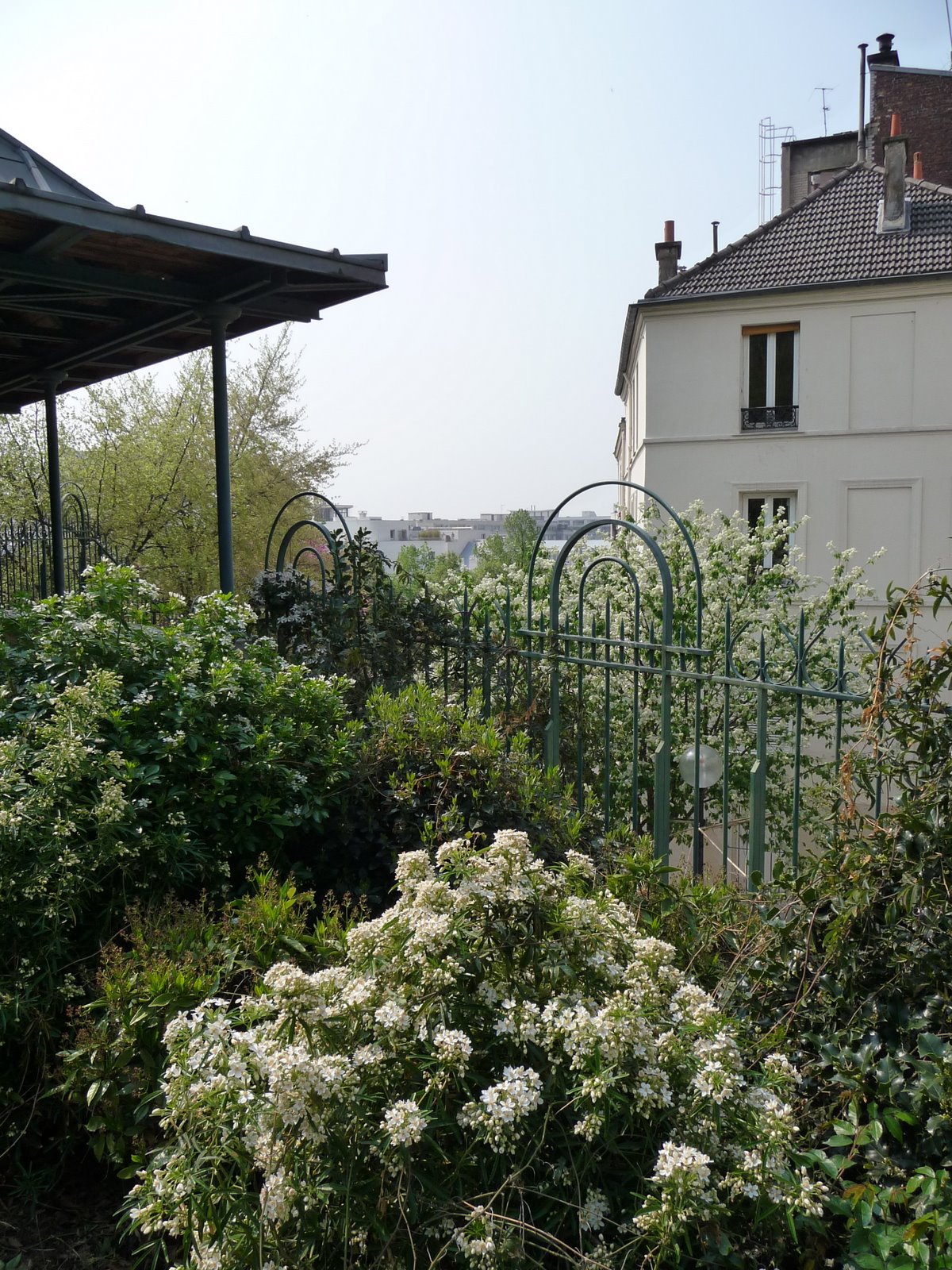 [P1010150.JPG]