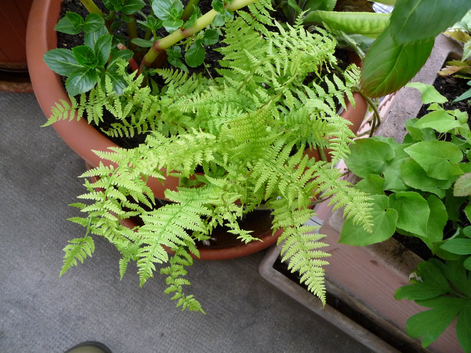 [P1020091.JPG]