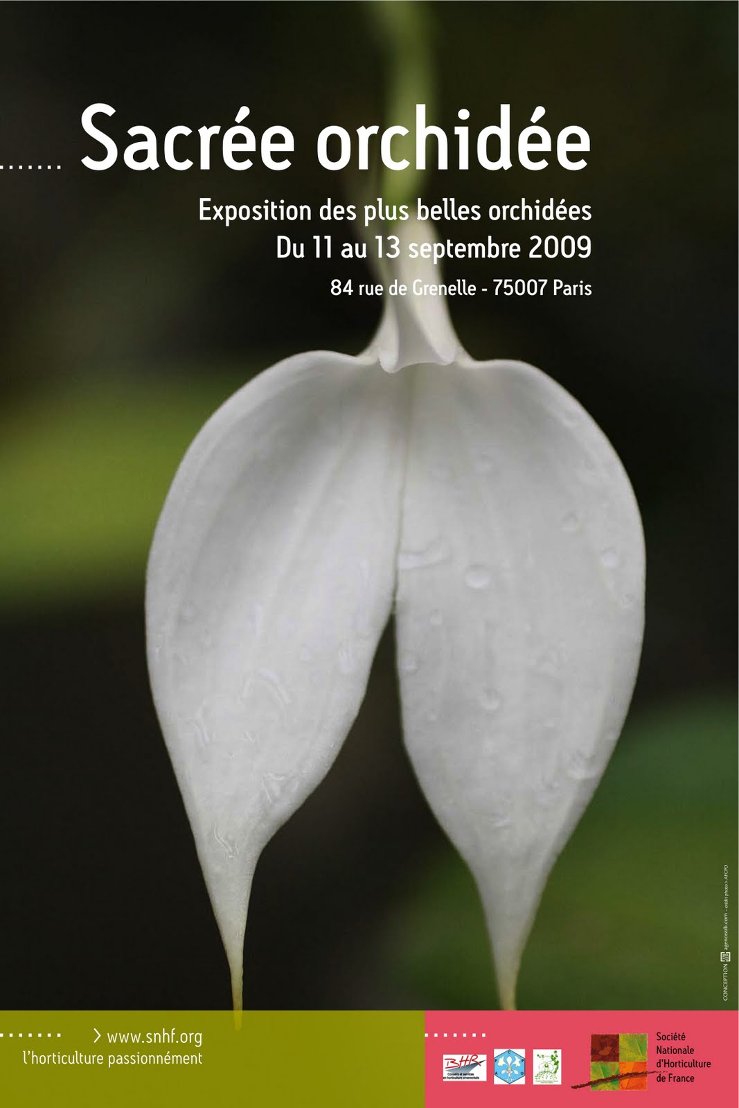 [AfficheSNHF-RECTO+V2.jpg]