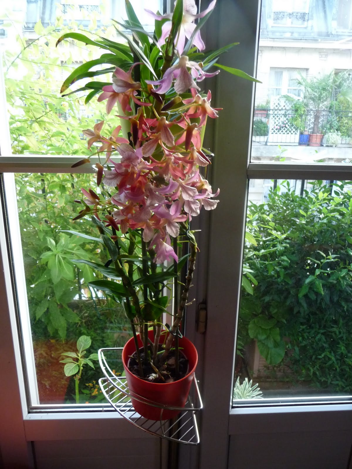 [P1060010.JPG]