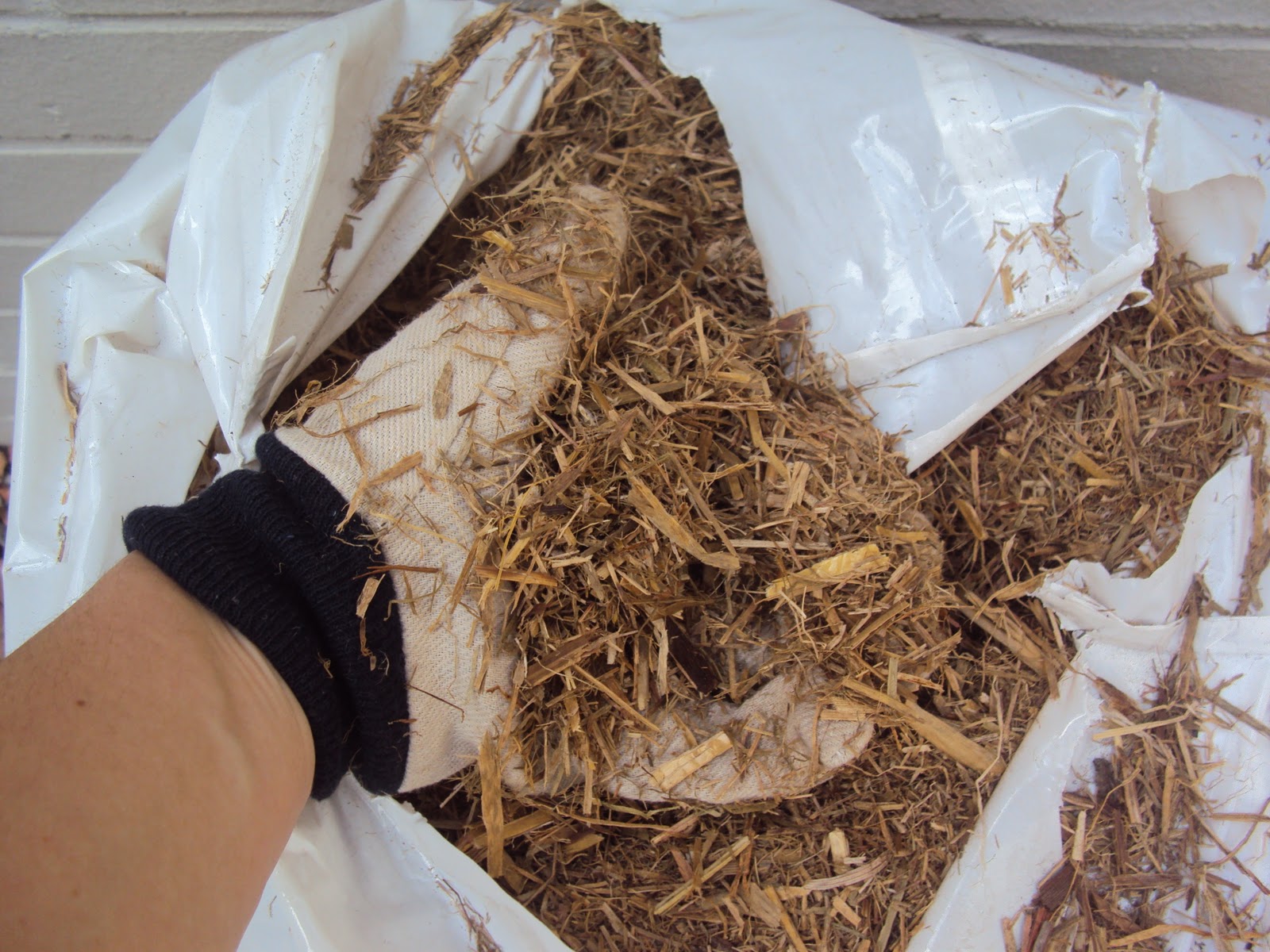 My Little Flower Garden Sugar Cane Mulch