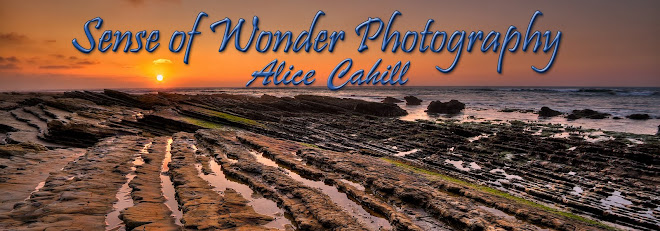 Sense of Wonder Photography