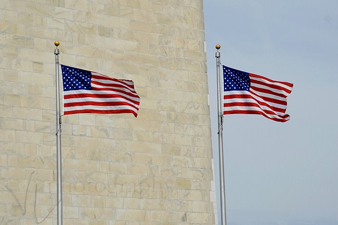 [flags1.jpg]