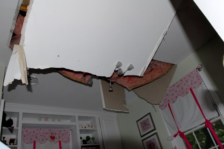 [tree-ceiling.jpg]