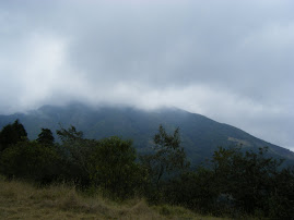 View at Yunguilla