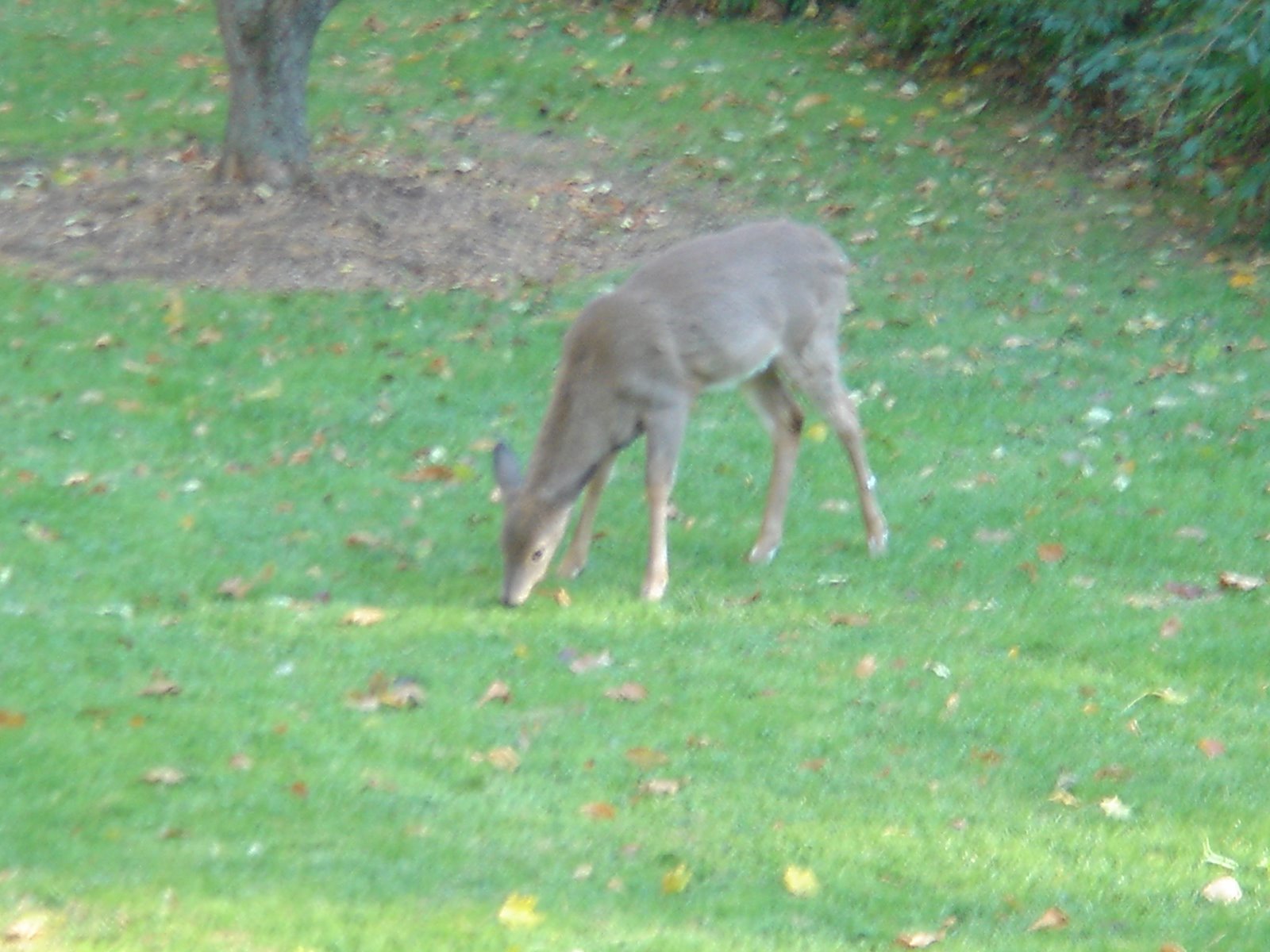 [DSC00990.JPG]